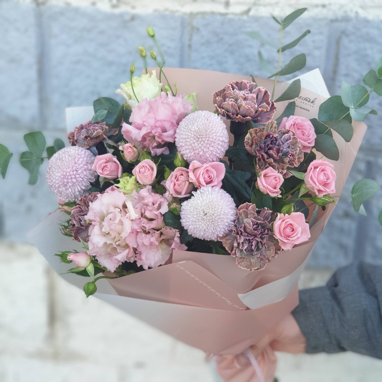 Диантус голубой Молли