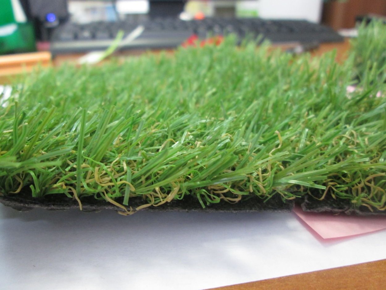 Райграс пастбищный