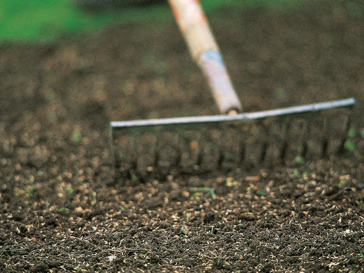 Посев семян газона