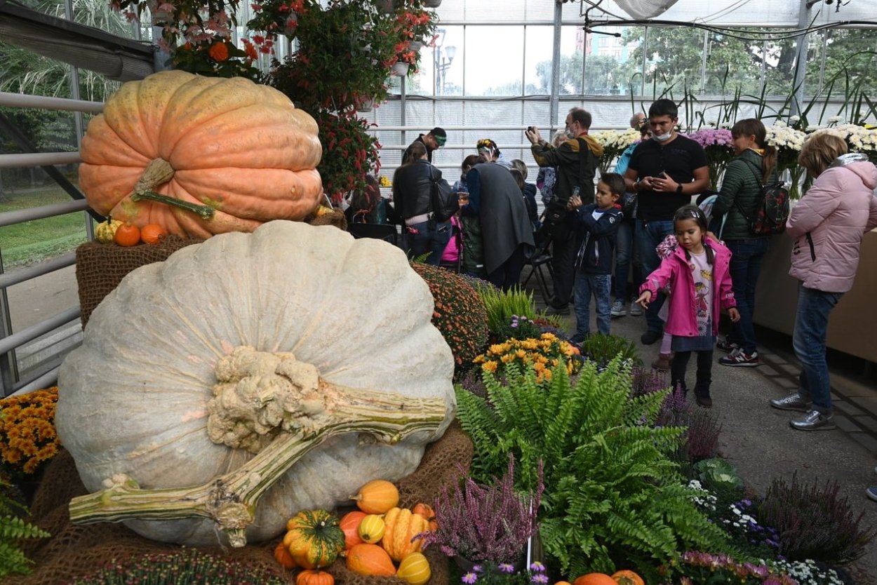 Осенний фестиваль цветов Аптекарский огород