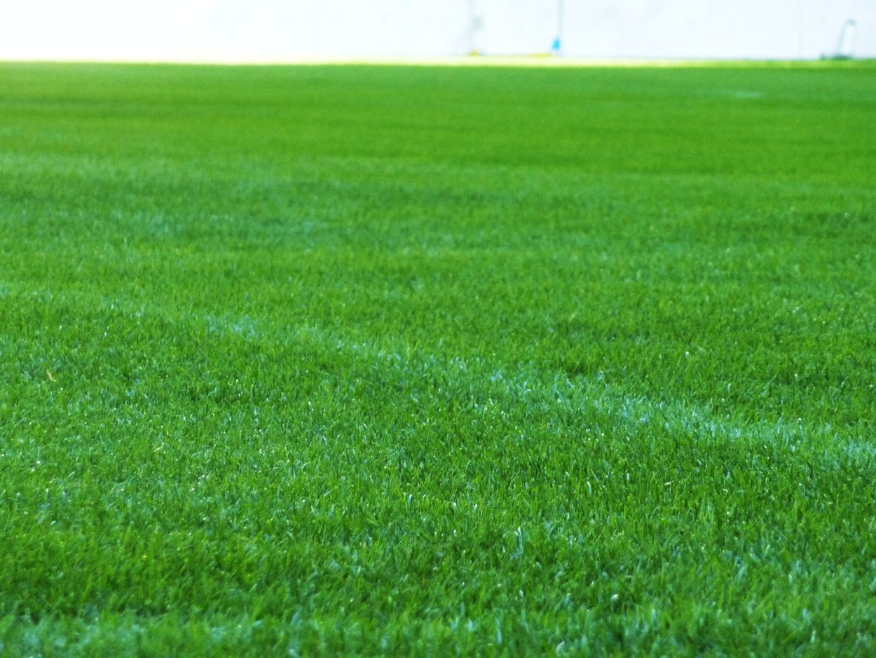 Футбольный газон