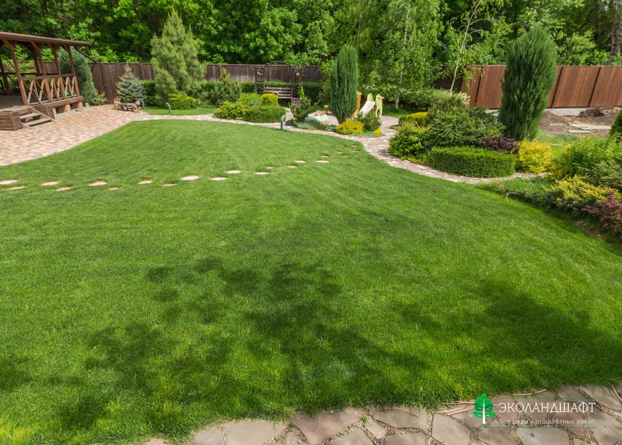 Газон из полевицы