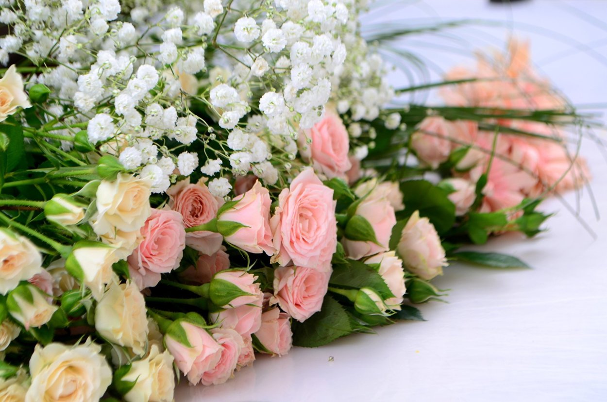 Нежный цветок