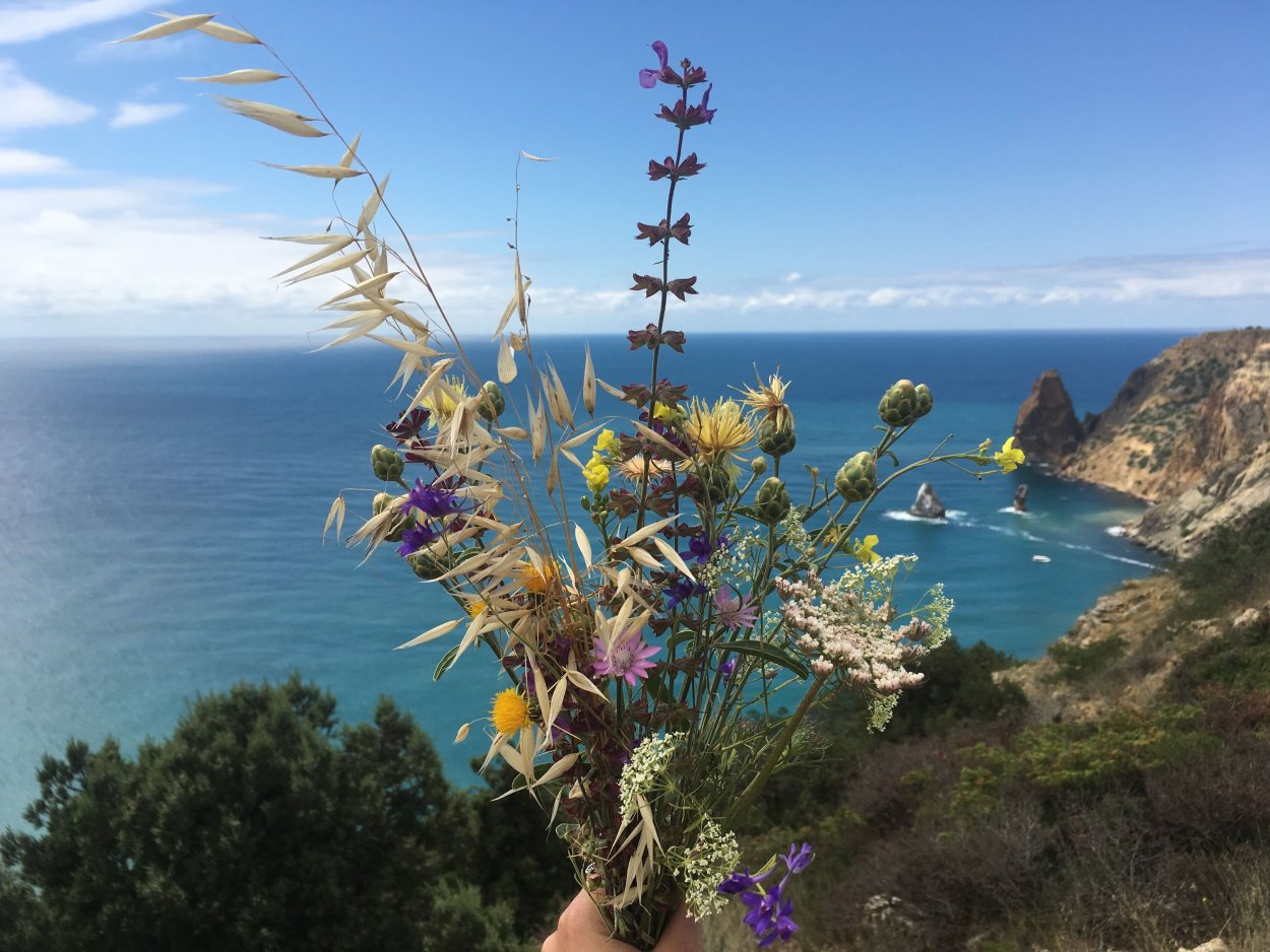 Флора острова Крит