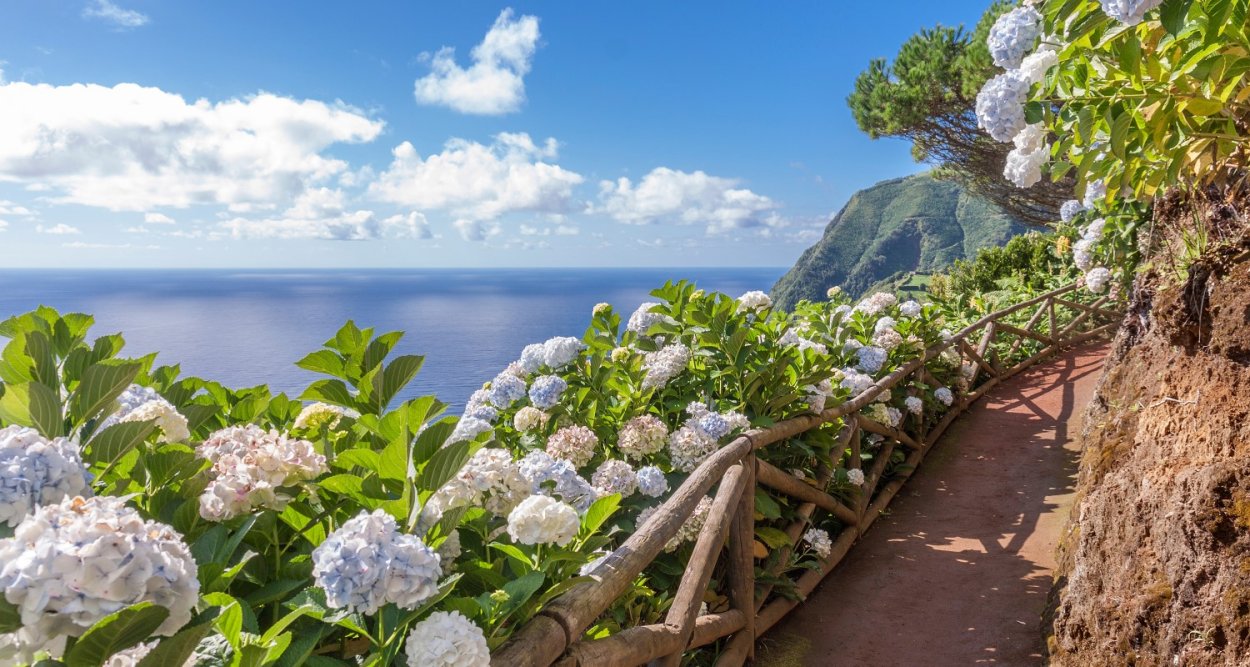 Сухая трава на берегу