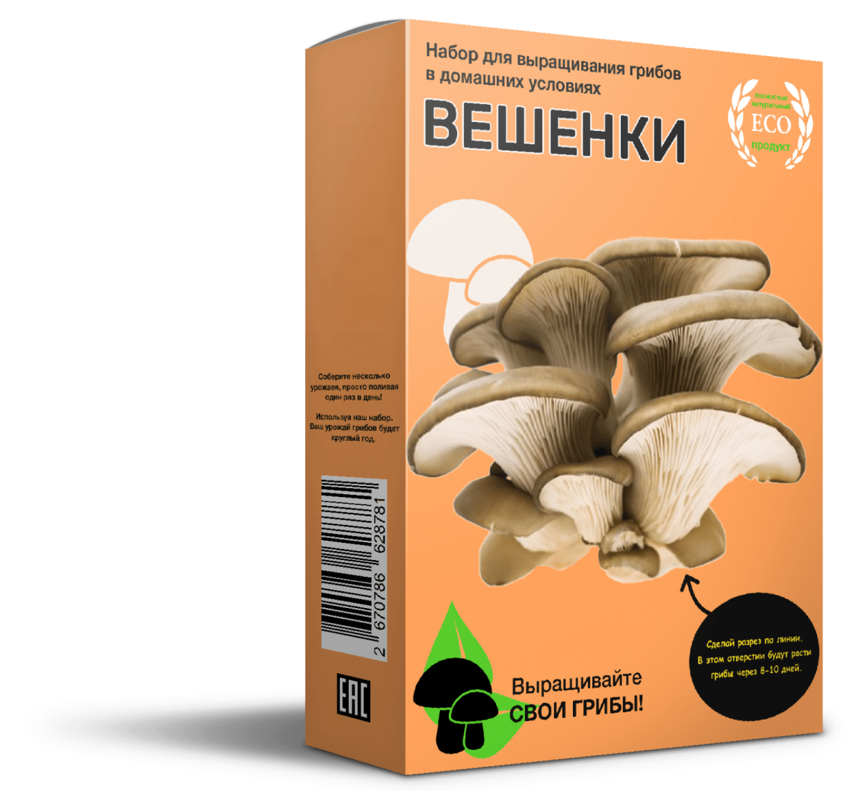 Грибная ферма вешенка