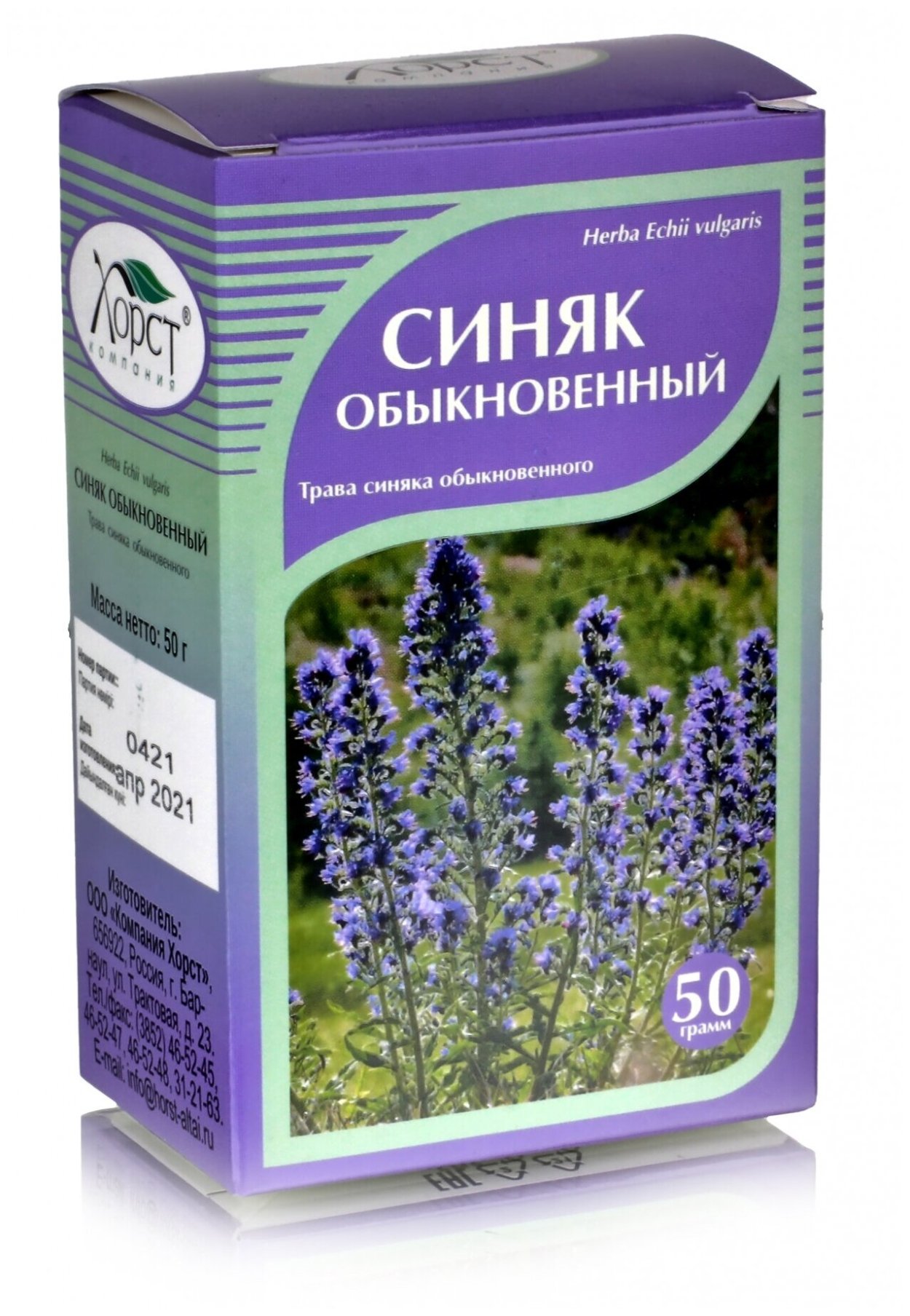 Растение Echium