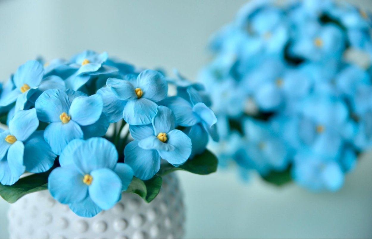 Букетик фиалок