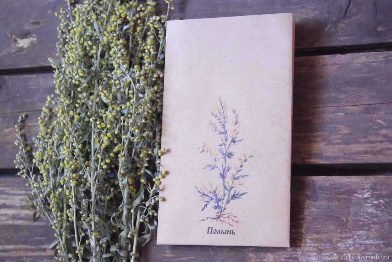 Полынь ВЕДЬМИНА трава