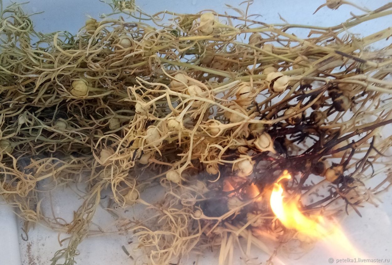 Шафран для окуривания