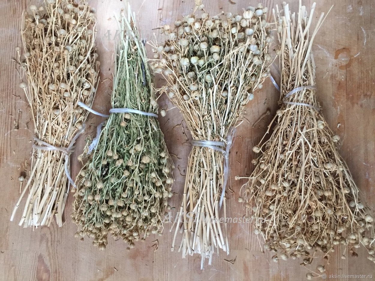 Артыш Арса можжевельник