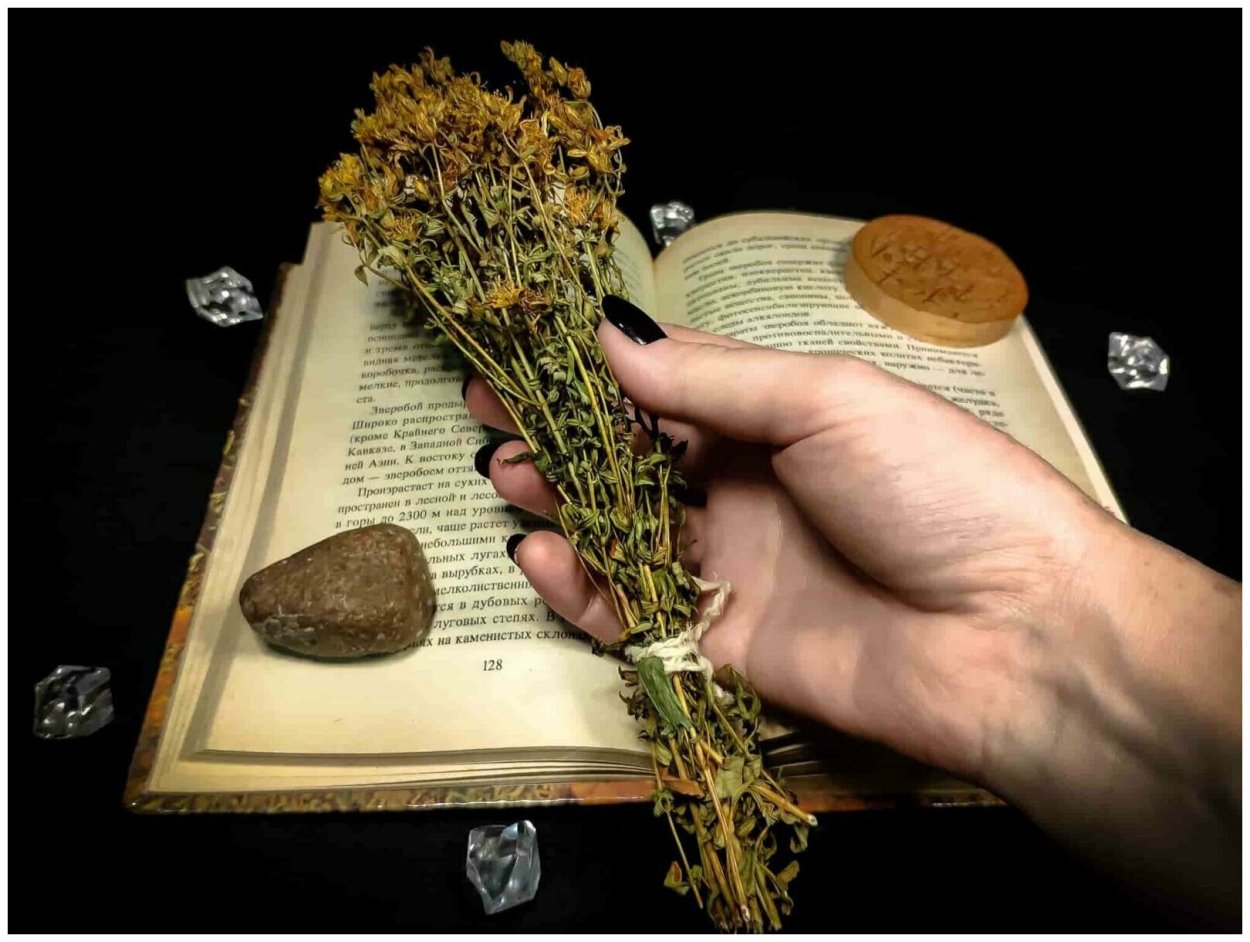 Травы в магии для привлечения денег