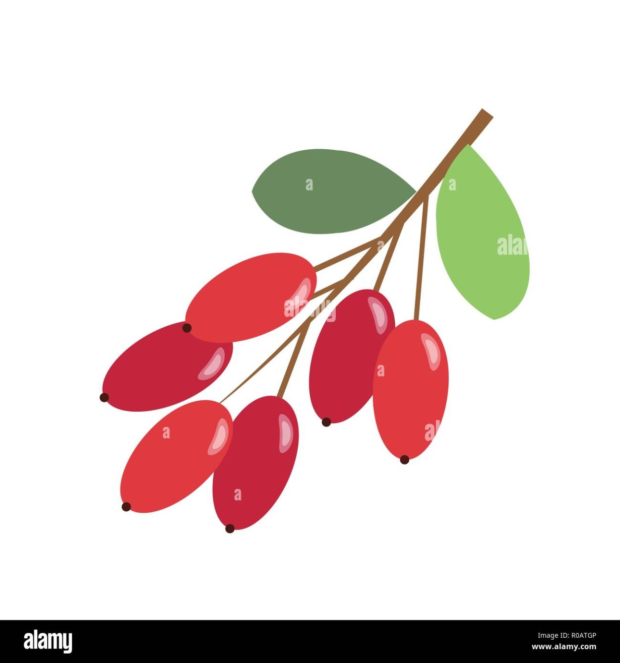 Тёрн Терновый куст