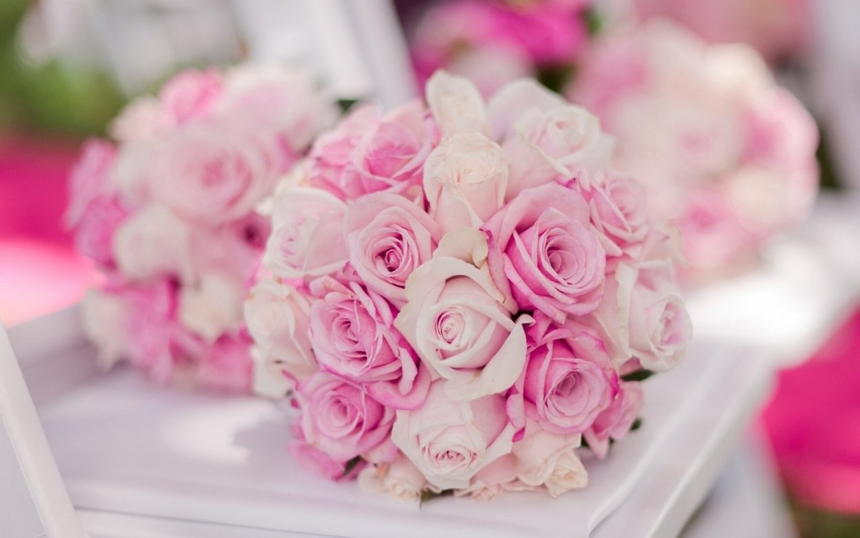 Цветы красивые нежные