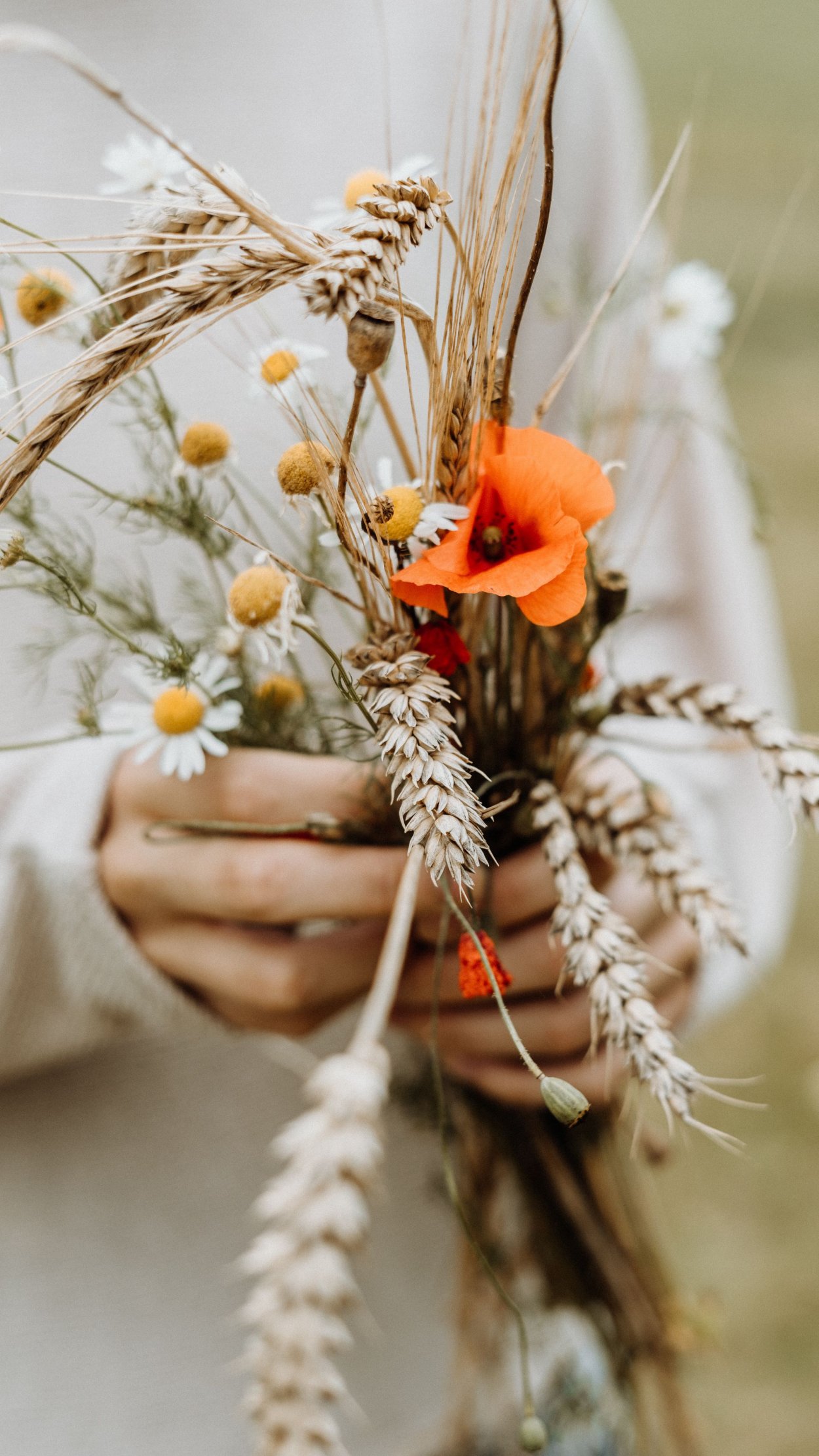 Колосья и ромашки