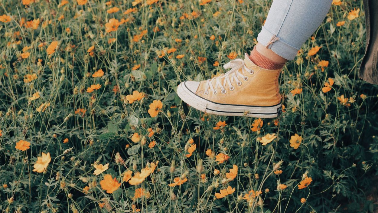 Цветы в кедах