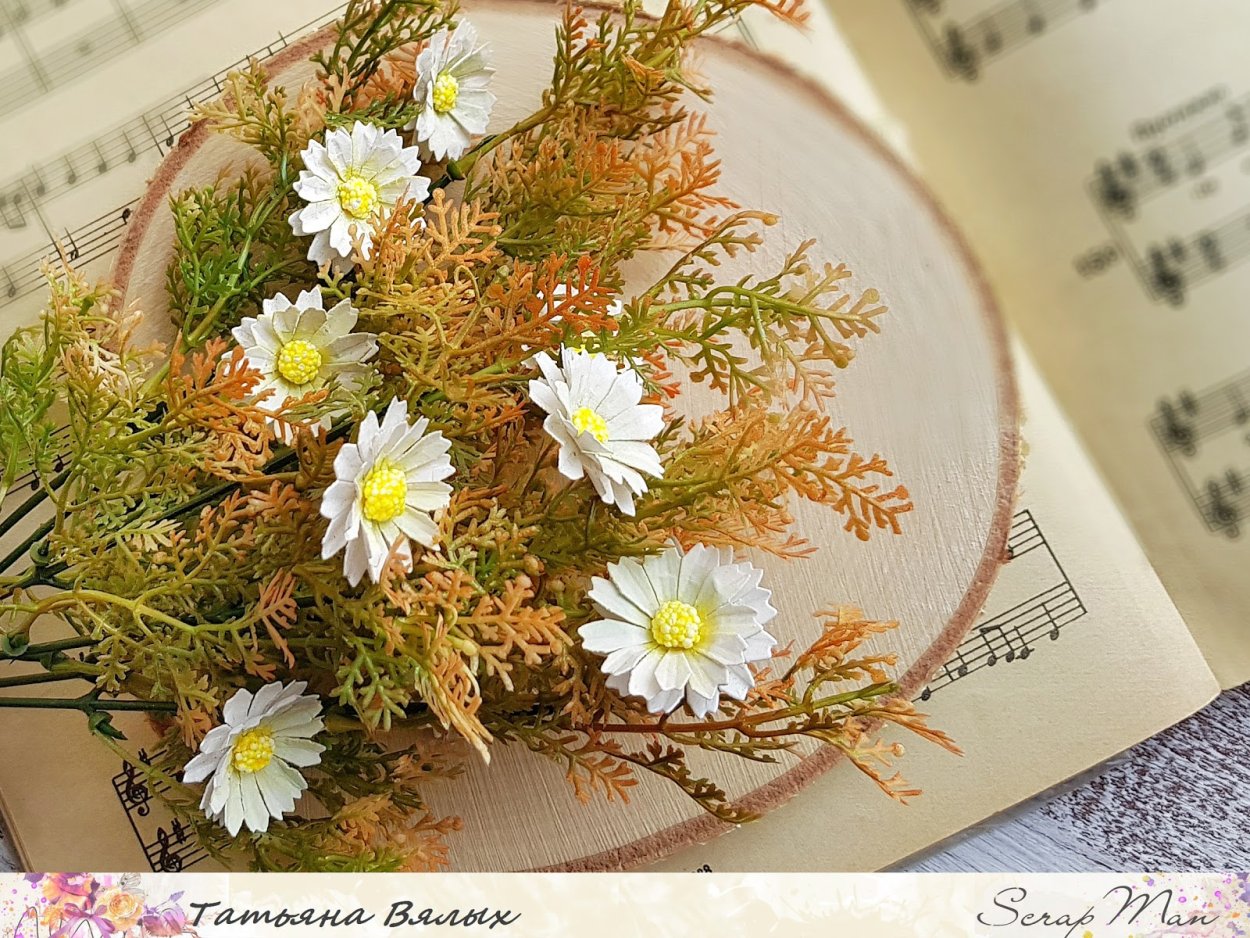 Осенние ромашки