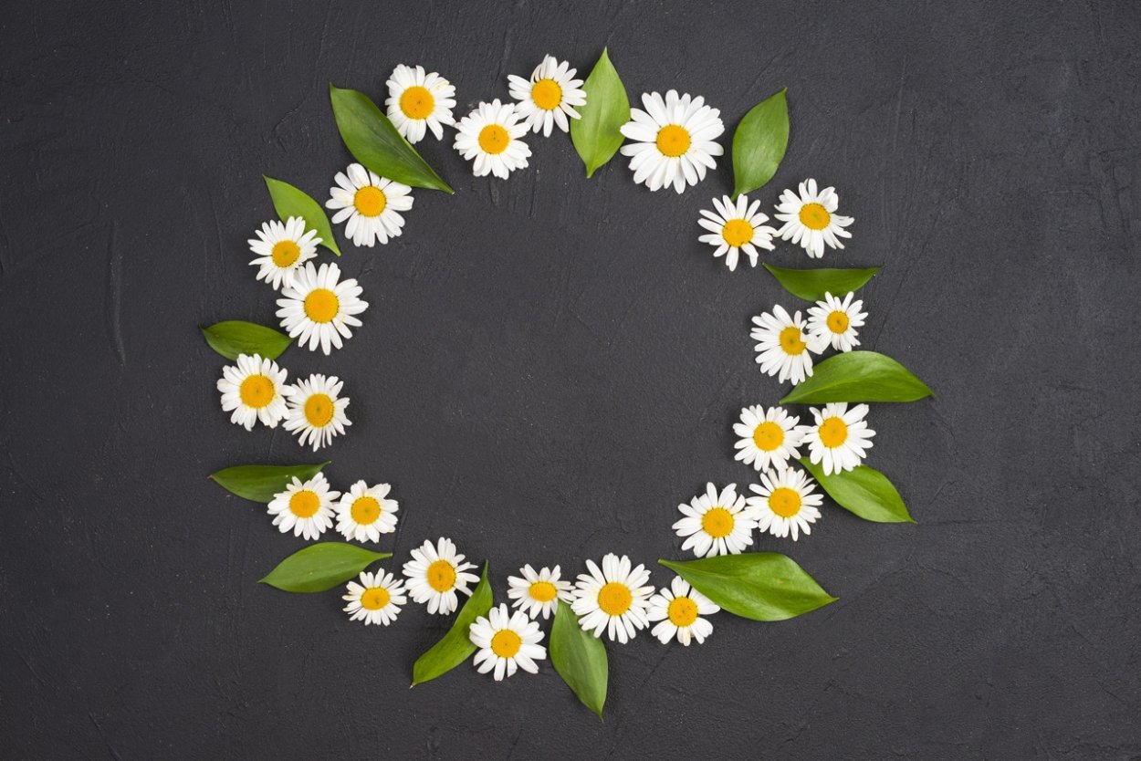Ромашки для венка