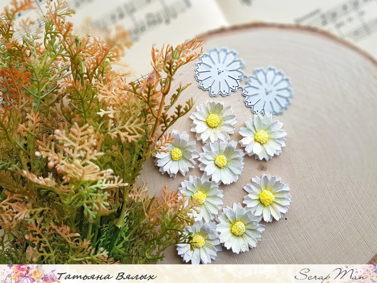 С днем рождения стильно просто ромашки осень