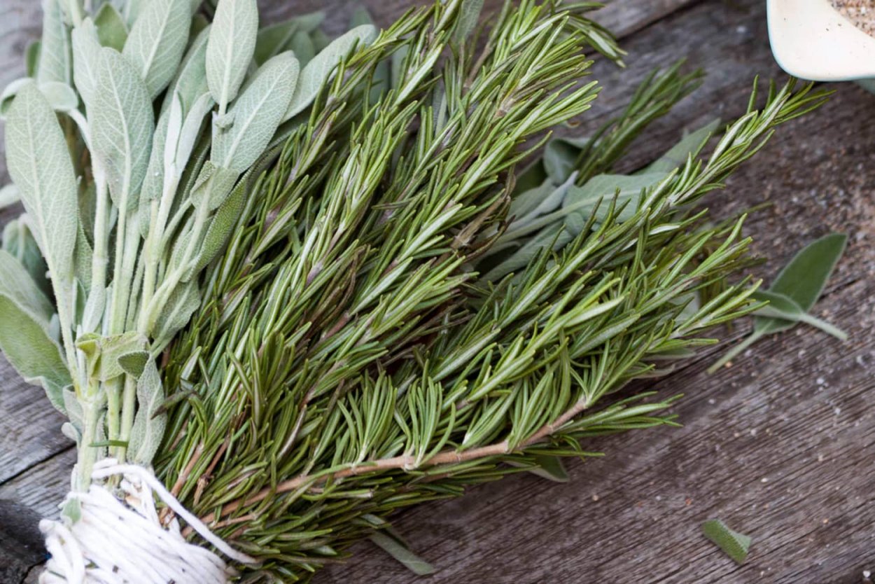 Кармандзук трава армянская