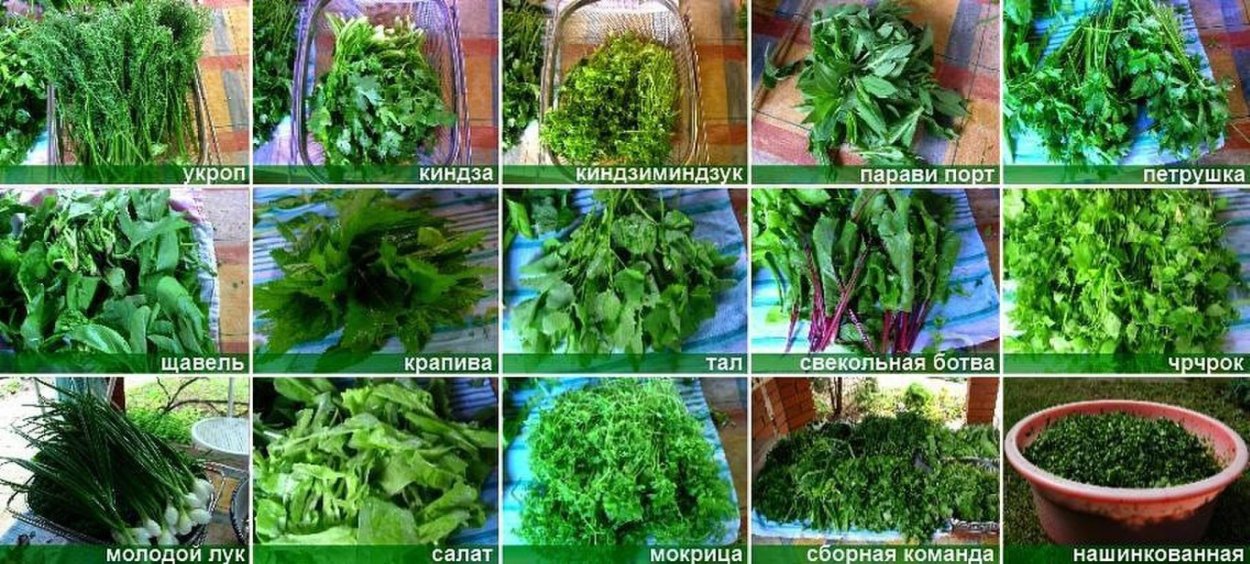 Сибех армянская трава