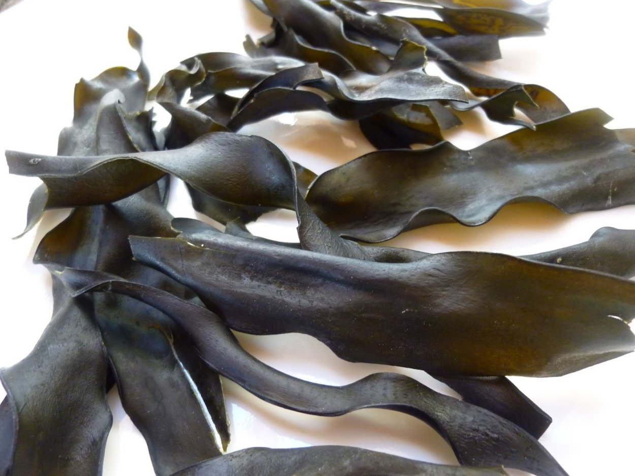 Экстракты морских водорослей ламинарии