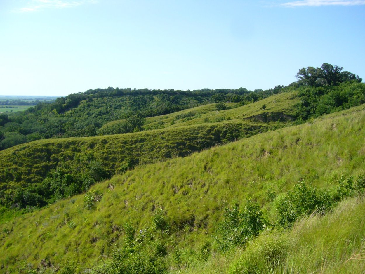 Херсонская область степи
