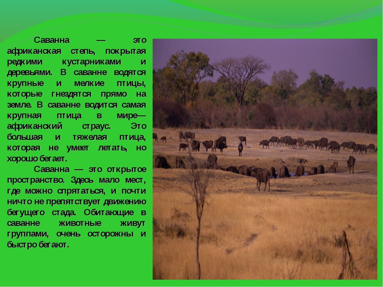 Здесь тёплое поле наполнено рожью