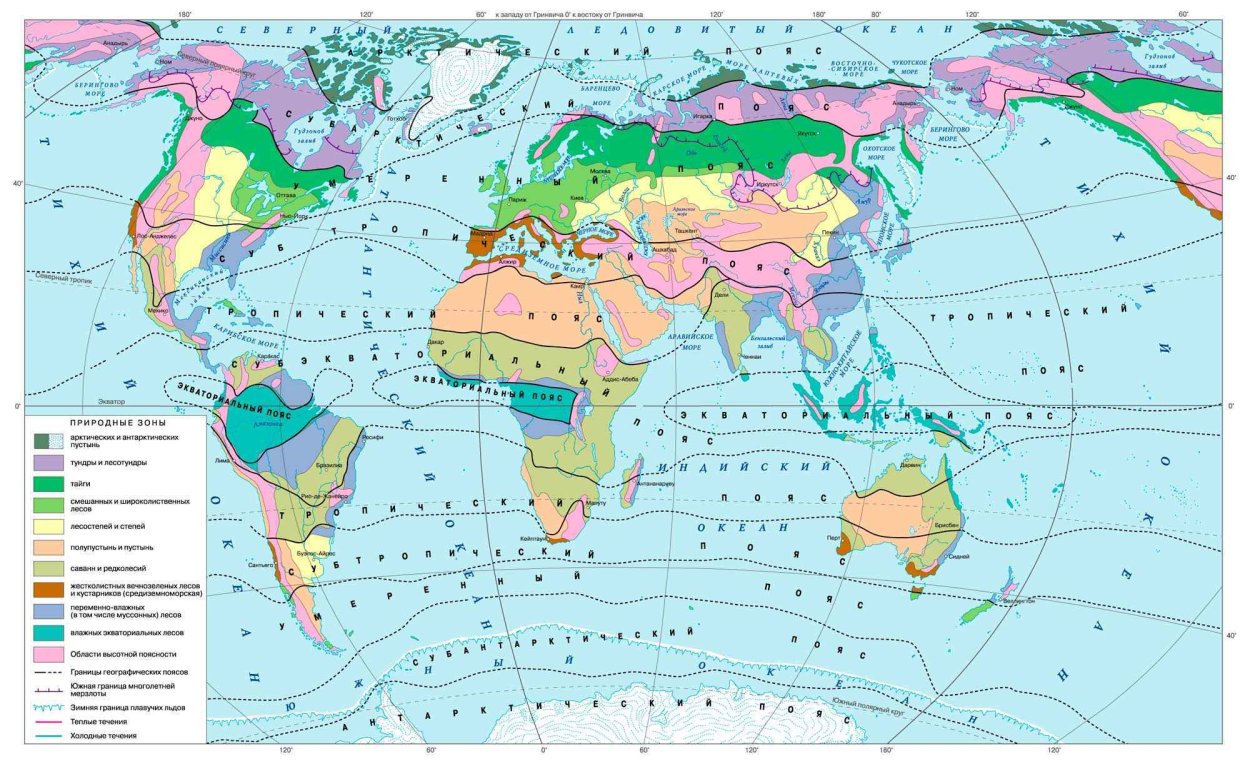 Растительность степи в России
