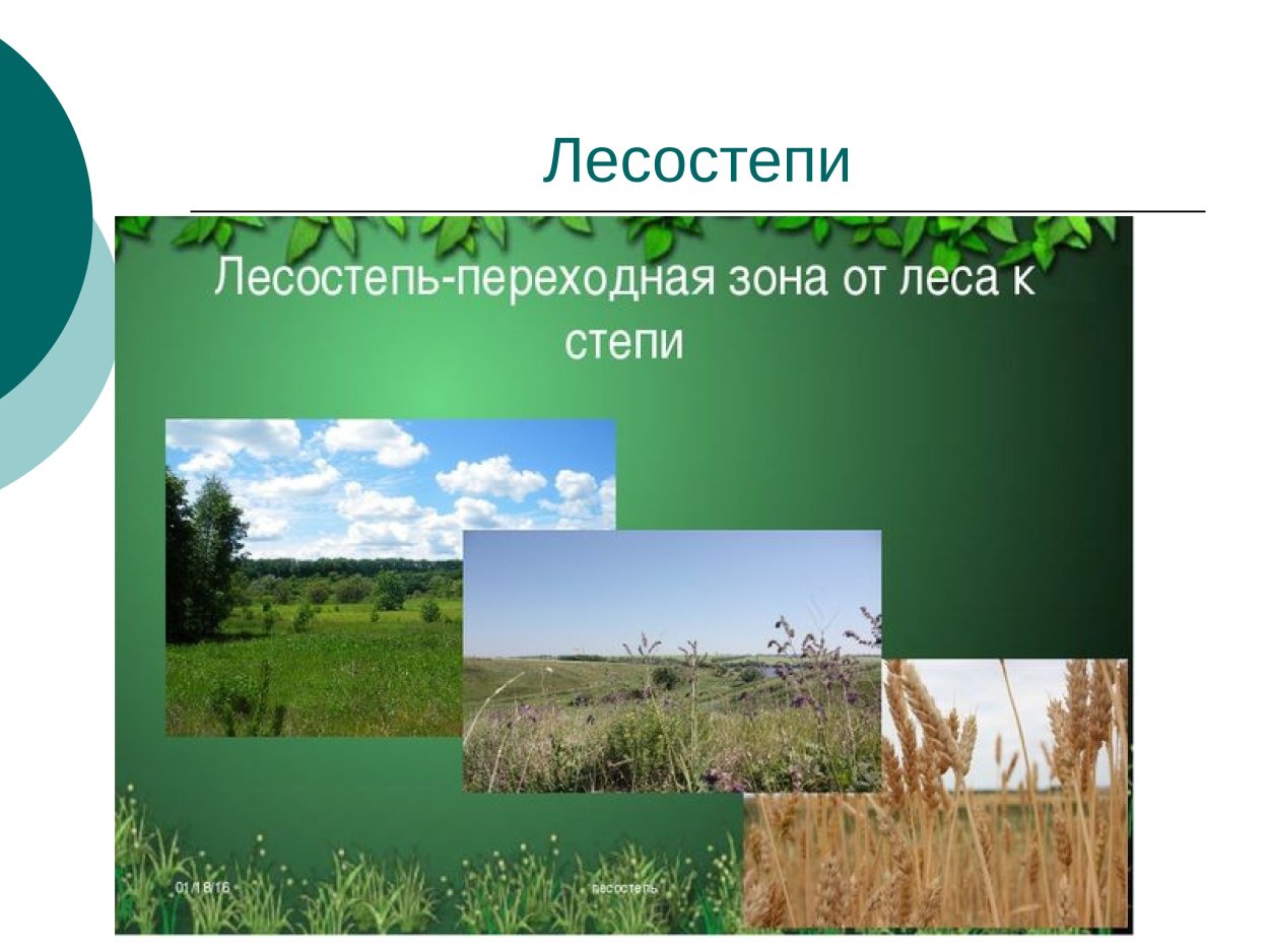 Черноземовидные почвы прерий