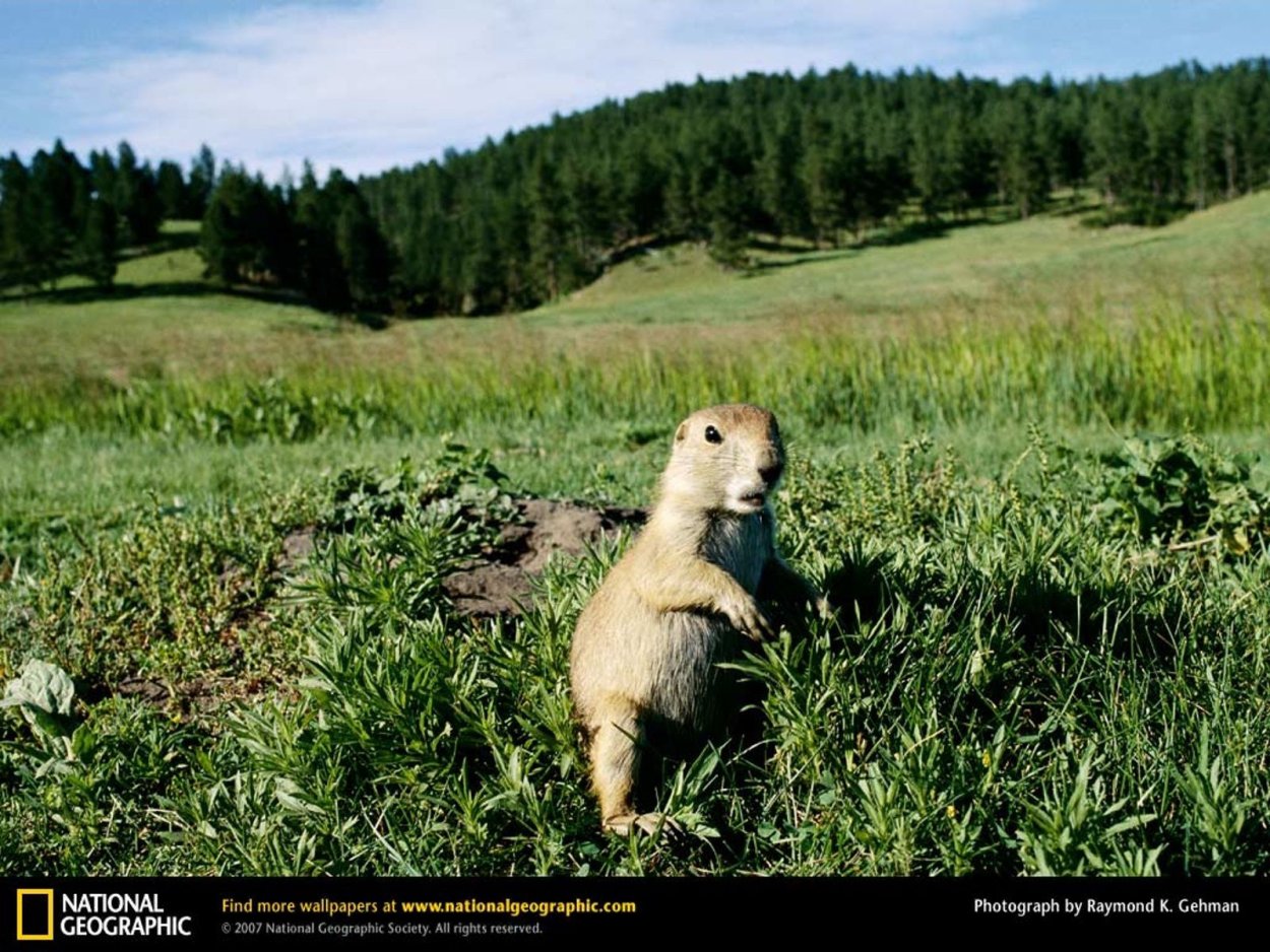 Национальный заповедник Tallgrass Prairie
