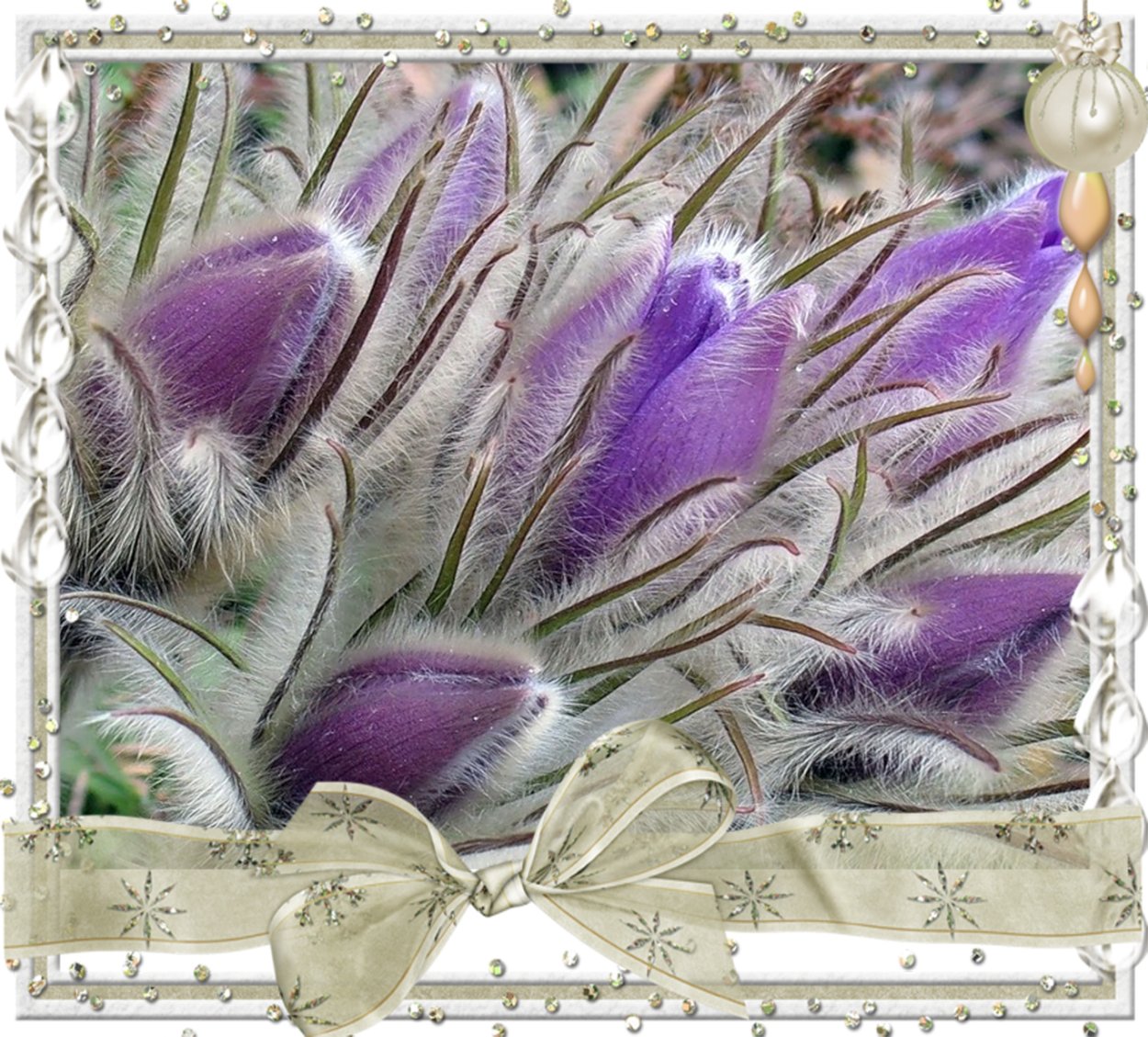 Гусеница прострел