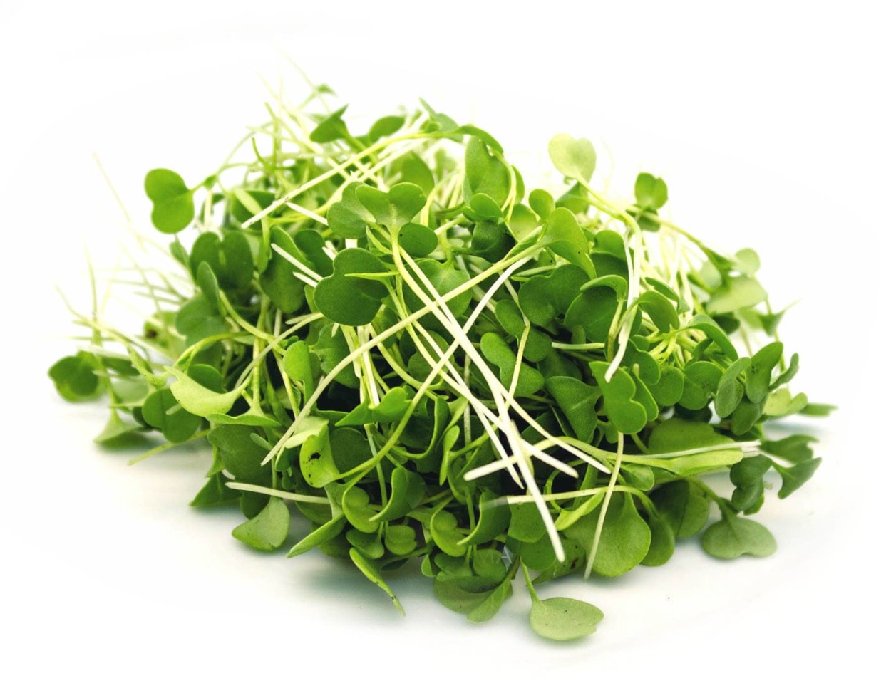 Микрозелень крессалат