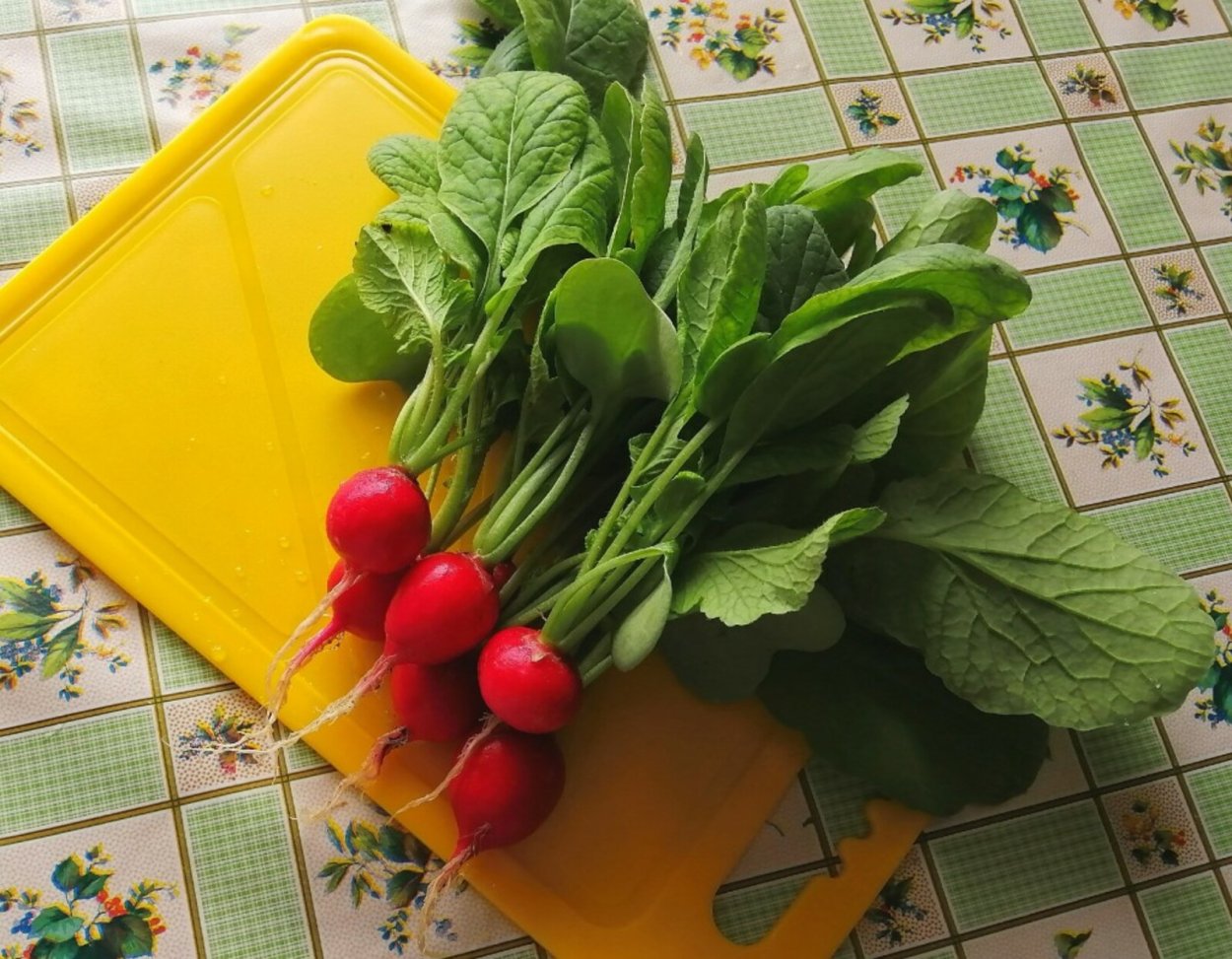 Люпин микрозелень