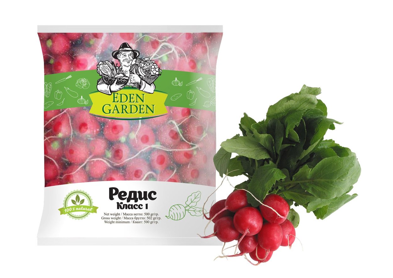 Микрозелень редис