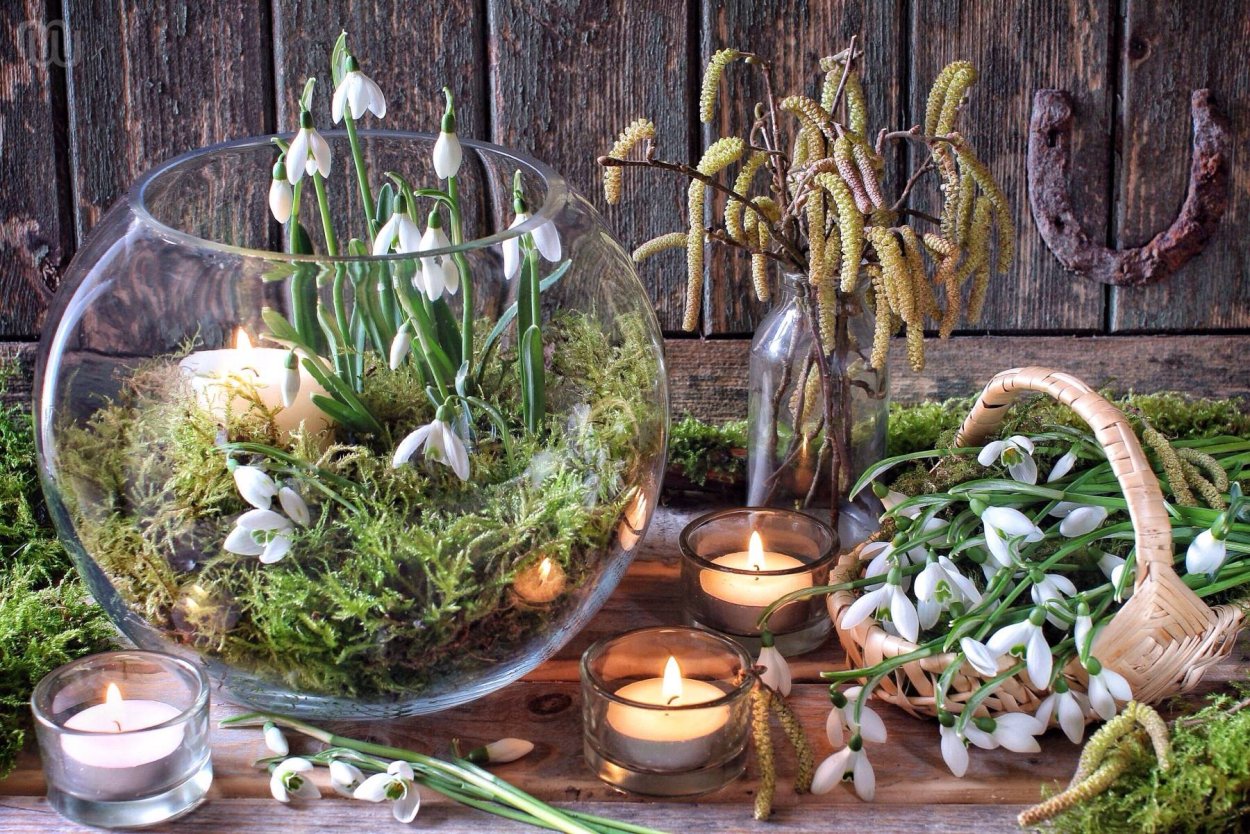 ИМБОЛК Эстетика