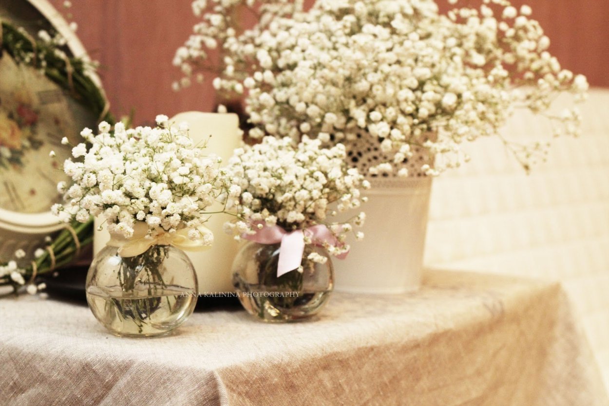 Гипсофила Метелица