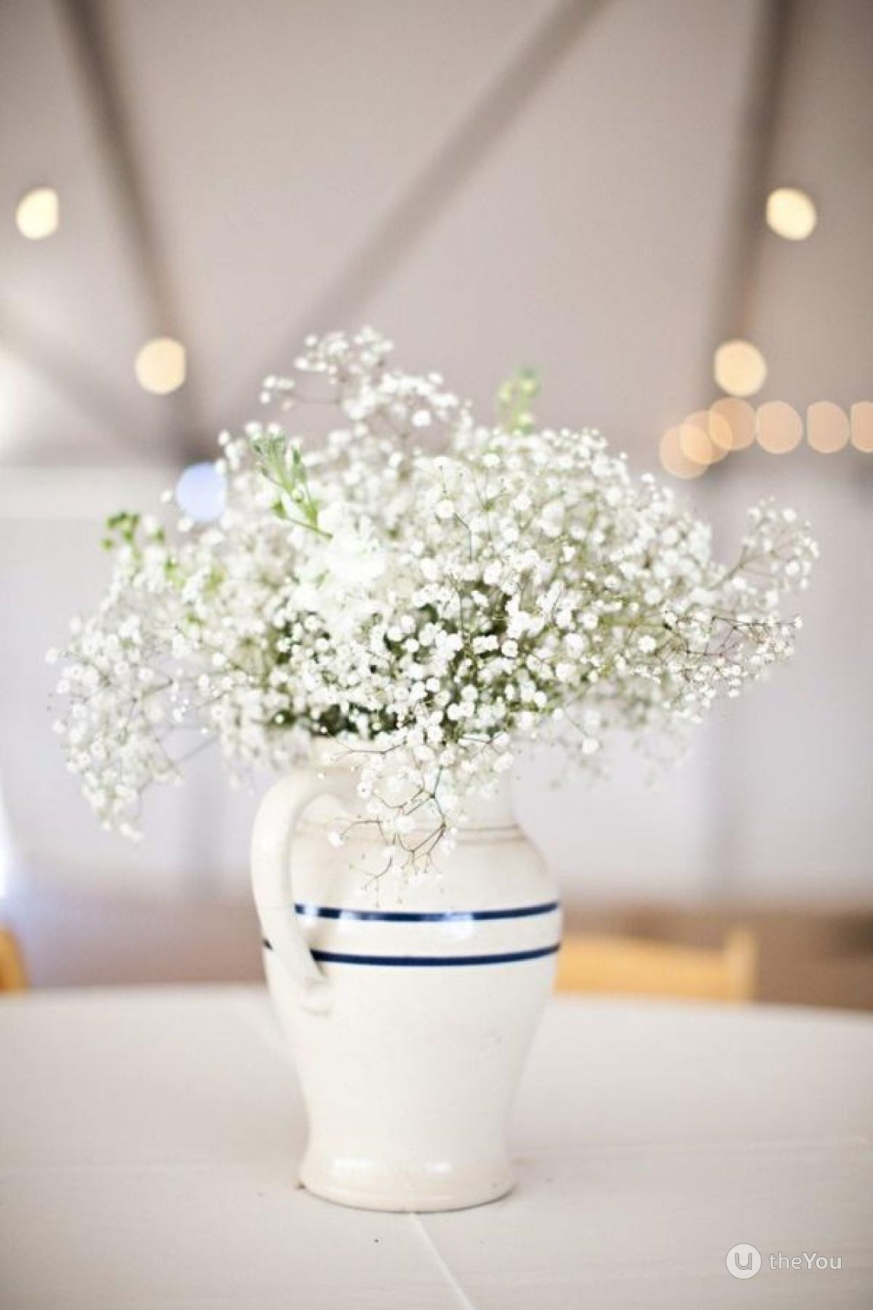 Гипсофила белая