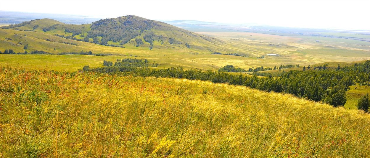 Лесостепи Южного Урала