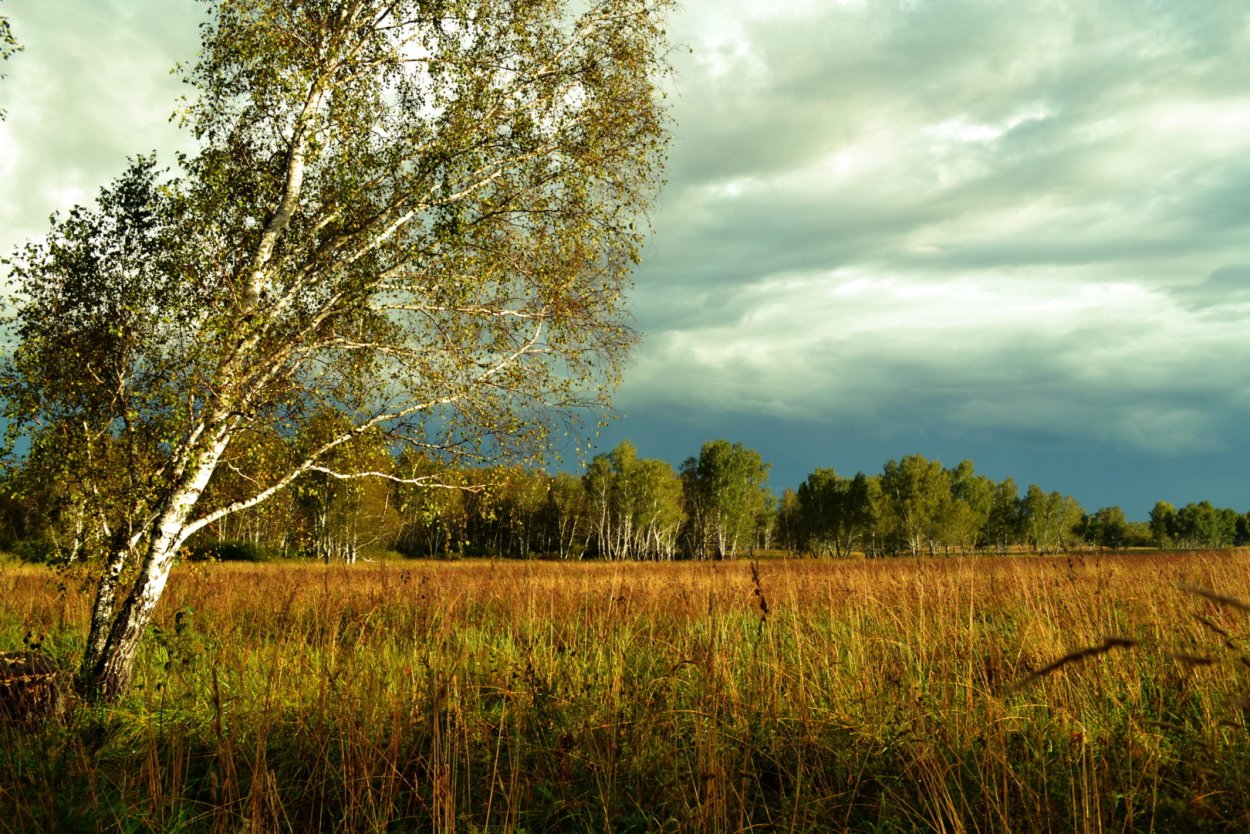 Весна в лесостепи