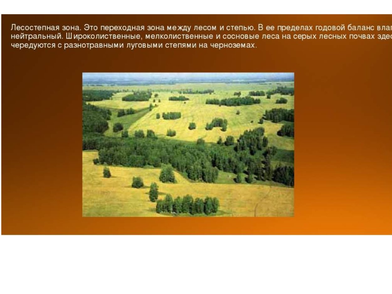 Особенности зоны лесостепей и степей. Лесостепь природная зона климат. Степи и лесостепи проект. Презентация на тему лесостепи.
