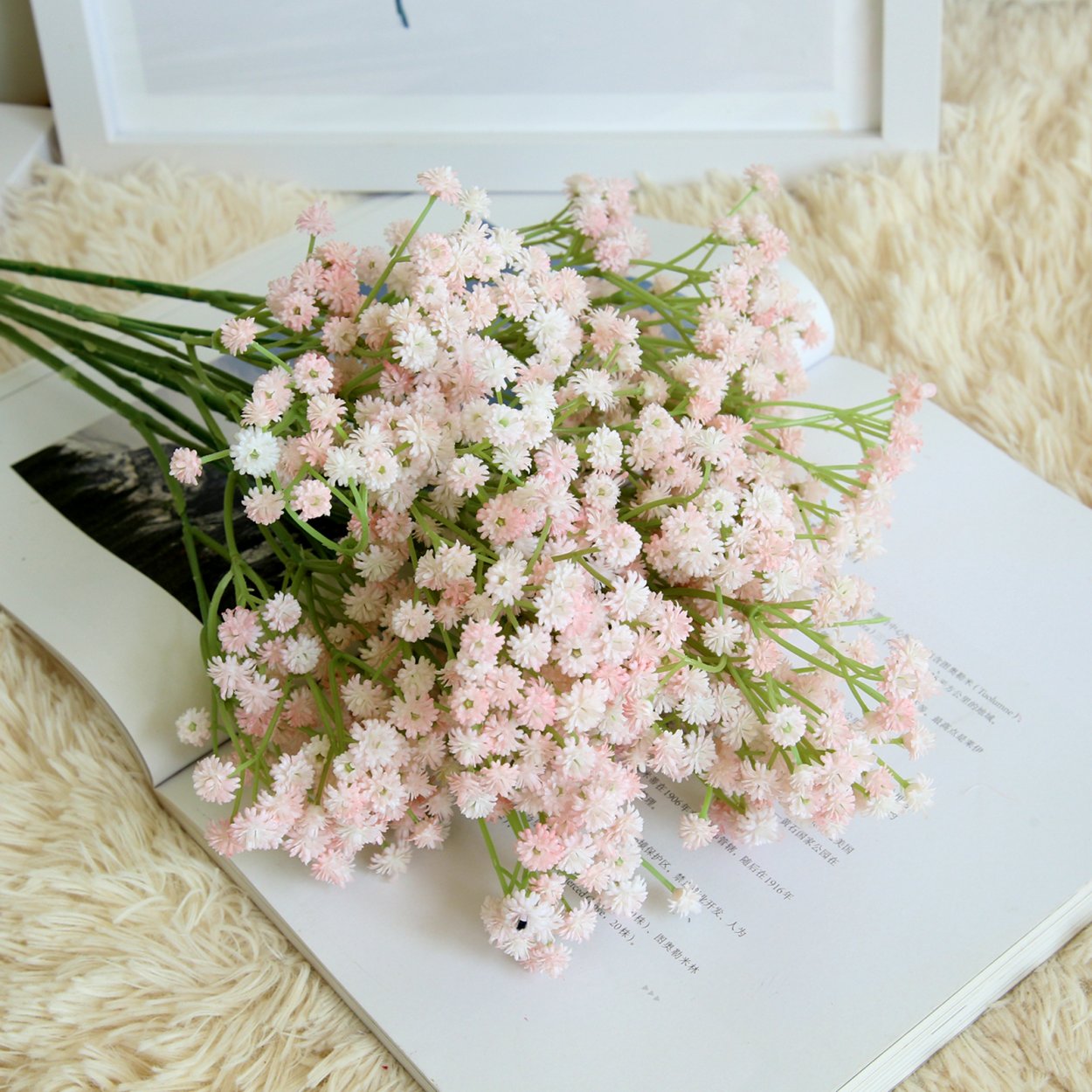 Гипсофила Аврора