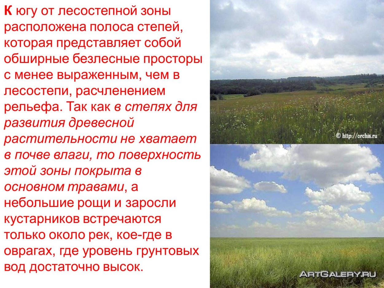 Где находятся лесостепи и степи. Природные зоны России степи и лесостепи. Доклад на тему лесостепи. Лесостепь презентация. Лесостепная зона климат.