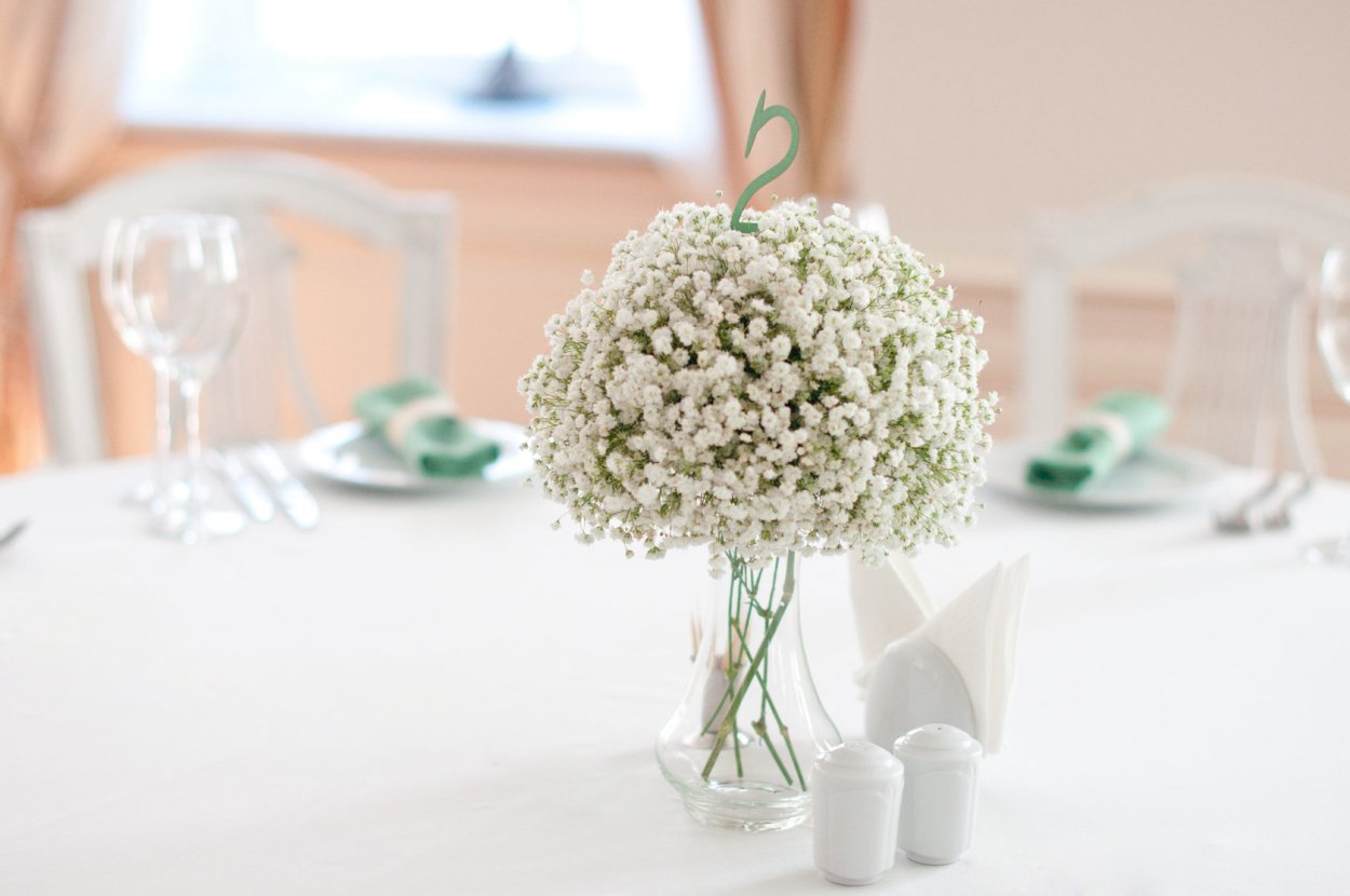 Бежевые цветы Эстетика