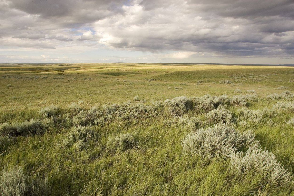 Великие равнины Северной Америки