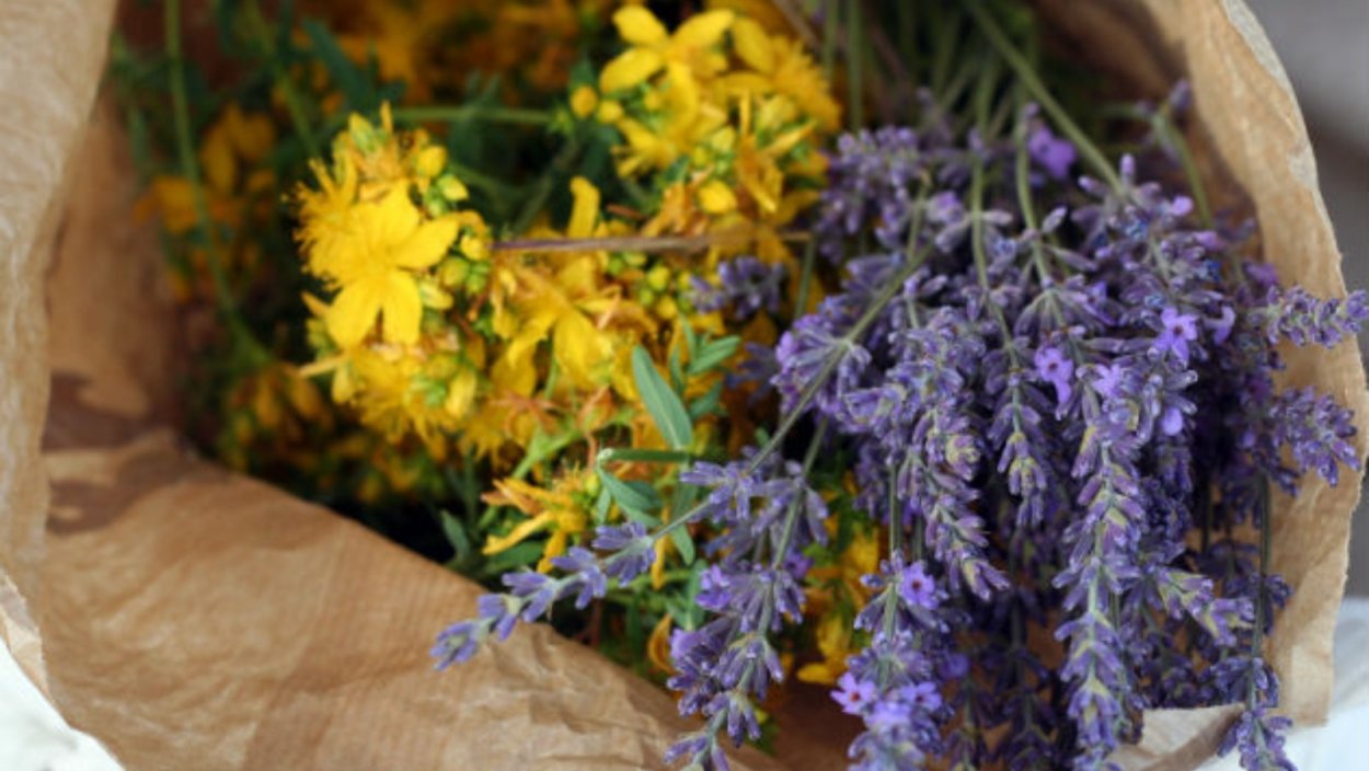 Сбор целебных трав