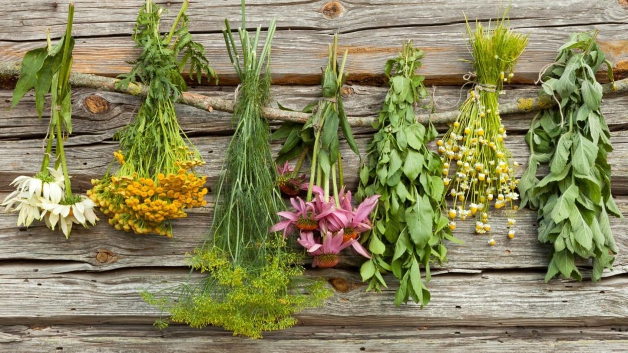 Разные травы