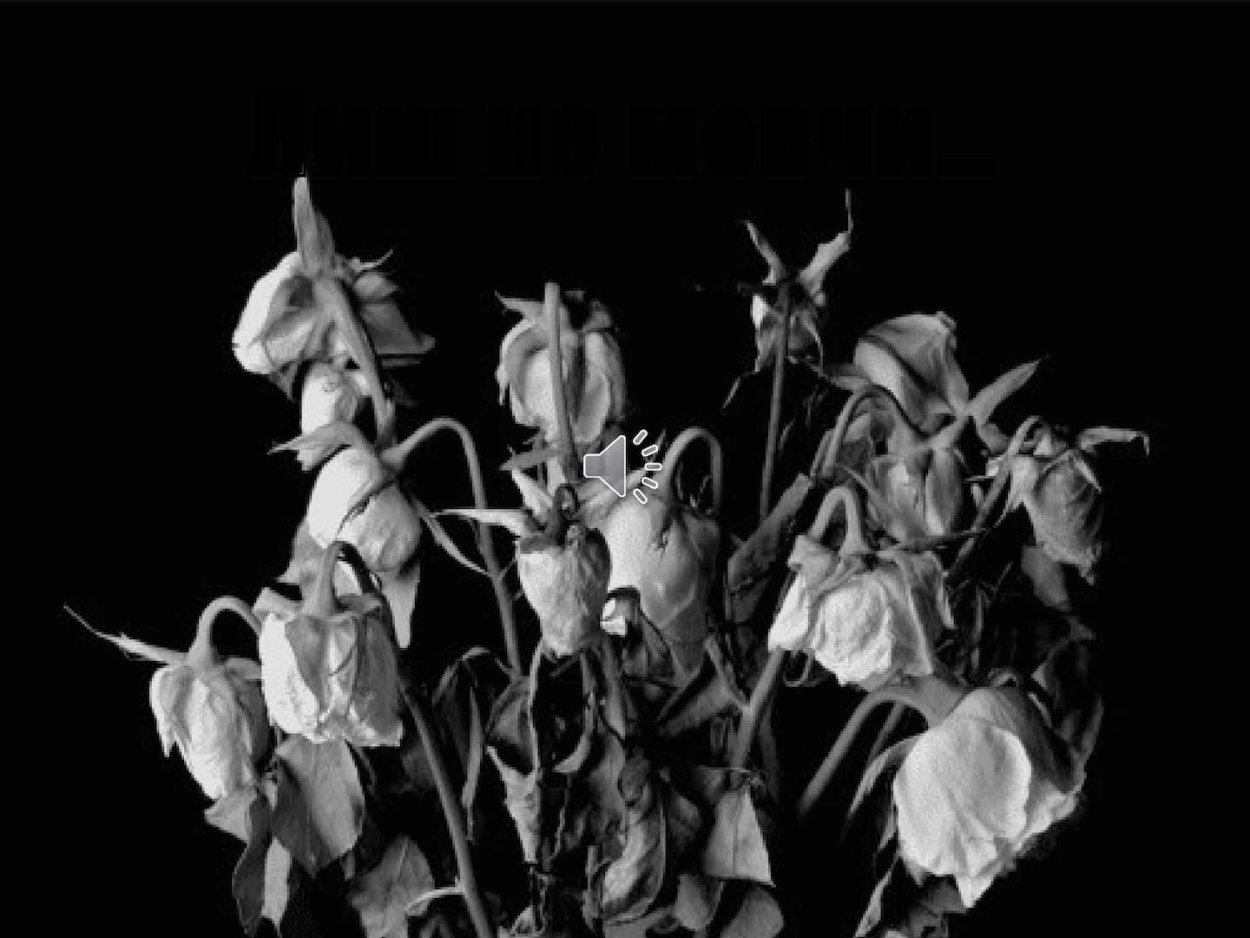 Цветок вянет