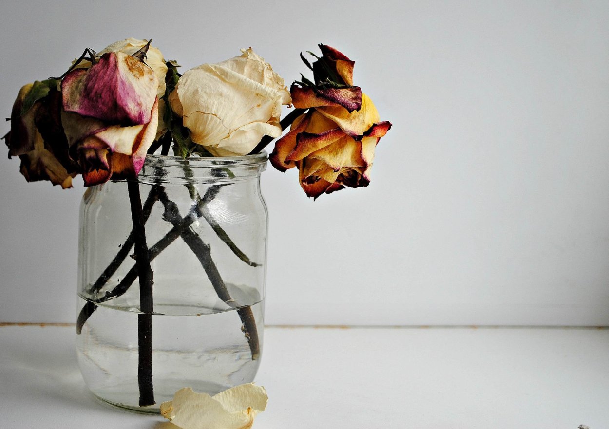 Засохший букет
