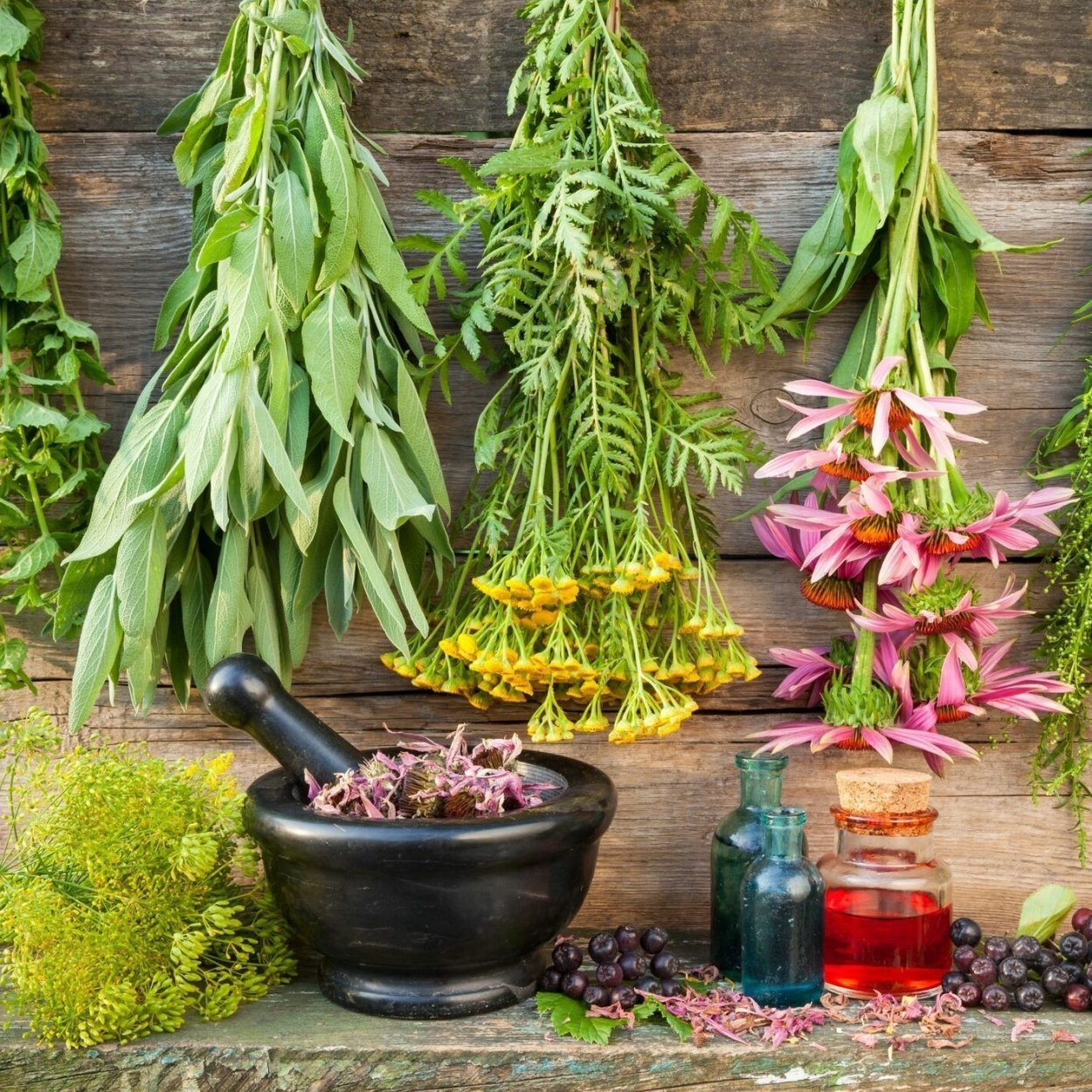 Чай адаптоген